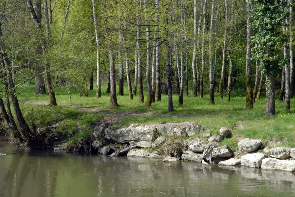 bonde d’étang à Neung-sur-Beuvron